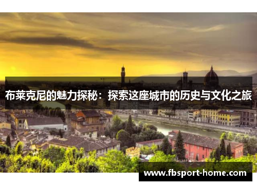 布莱克尼的魅力探秘：探索这座城市的历史与文化之旅